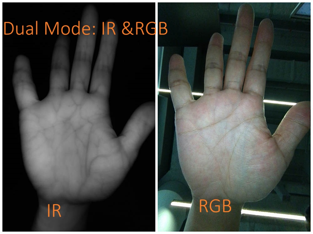 Binocular Palm vein reader